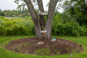 Garrison Outdoor Garden